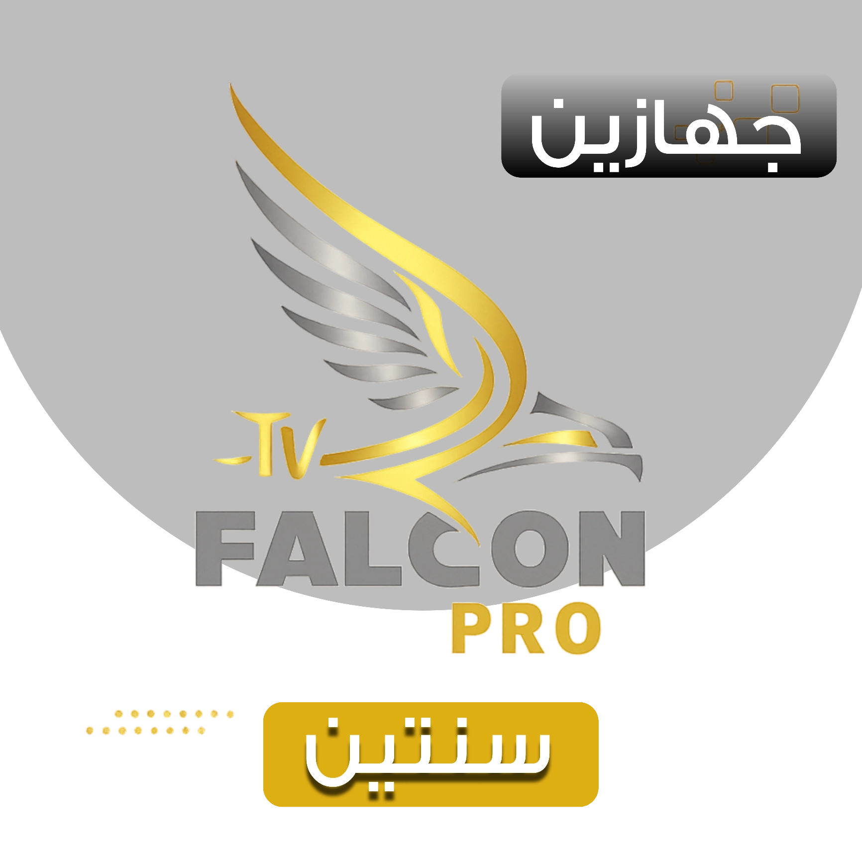 اشتراك فالكون الرسمي FALCON IPTV PRO مدة سنتين يعمل على جهازين بـ500 ﷼ اشتراك فالكون سنتين جهازين